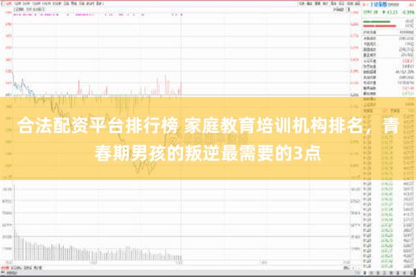 合法配资平台排行榜 家庭教育培训机构排名，青春期男孩的叛逆最需要的3点