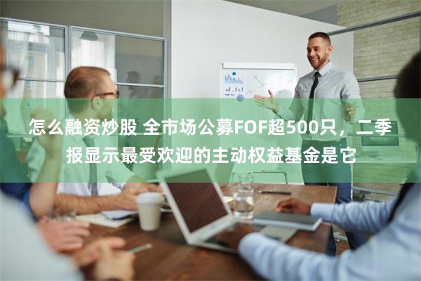 怎么融资炒股 全市场公募FOF超500只，二季报显示最受欢迎的主动权益基金是它