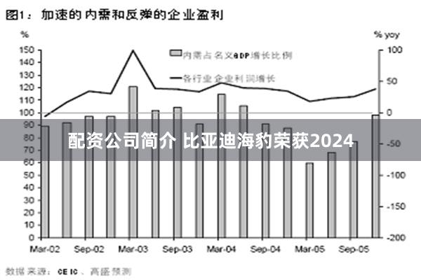 配资公司简介 比亚迪海豹荣获2024