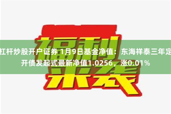 杠杆炒股开户证券 1月9日基金净值：东海祥泰三年定开债发起式最新净值1.0256，涨0.01%