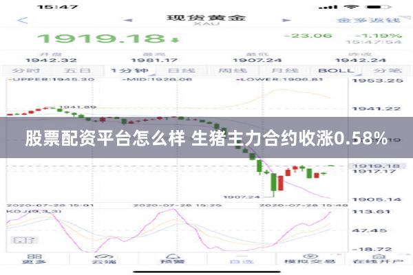 股票配资平台怎么样 生猪主力合约收涨0.58%