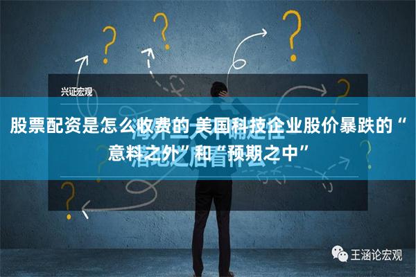 股票配资是怎么收费的 美国科技企业股价暴跌的“意料之外”和“预期之中”