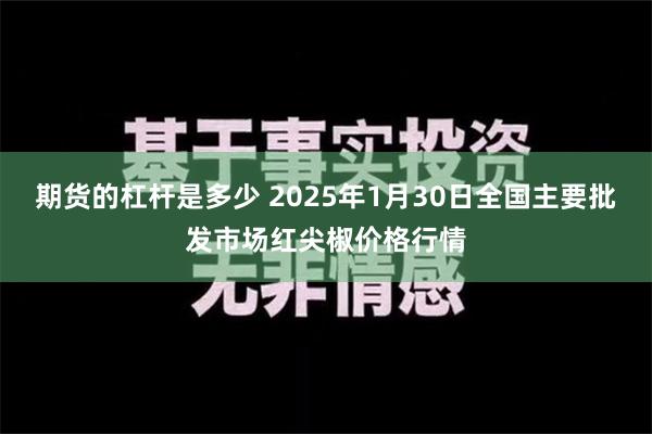 期货的杠杆是多少 2025年1月30日全国主要批发市场红尖椒价格行情